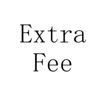 Extra Fee Special payment link