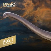 PNSO Dinosaurier Museen Serie Neue ER-MA Die Mamenchisaurus 1:45 Wissenschaftliche Kunst Modelle