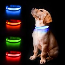 Collare per cani MASBRILL Forniture per animali luminosi Collare per cani Collari di sicurezza impermeabili dropship