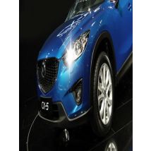 ANGRONG 2x BAY9s 435 H21W 10SMD 2835 LED Car Light Sidelight Indicator Reverse Backup Light Daytime Light Bulbs