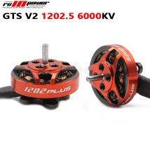 4PCS RCINPower GTS V2 1202,5 6000KV 3-4S Lipo 3,9g Mini FPV Bürstenlosen Motor 1,6-3inch Propeller