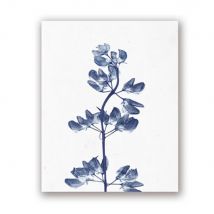 Pressed Blue Wild Flowers Wall Art Canvas Painting Hampton Style Posters Botanical Prints Blue and White Pictures Home Decor