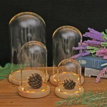 Display Glass Dome Wooden Base With LED Lightup The Beast Red Rose Birthday/Valentine's Gifts Bedroom Table Decoration Carft