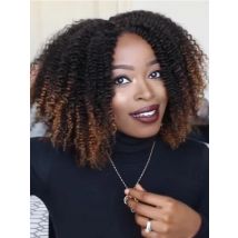 MSIWIGS Women's Short Afro Kinky Curly Wigs Ombre Brown Synthetic Middle Part Nature Hair Black Daily Party Headgear with Clips