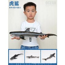 NEU Großes Meeresleben Tier Walhai Sperma Wal Beluga Delphin Modell Actionfiguren Kinder Lernspielzeug Geschenk für Kinder