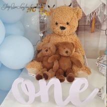 Custom One Sign Photo Prop for Babies, First Birthday Photo Shoot, Wooden Number Sign, Photographer, Number Sign