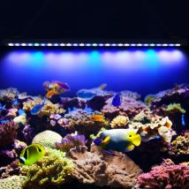 54W 81W 108W Led Acquario Luce Acquario Luce per Piante di Pesce Coral Reef Luci Acquario Lampada Illuminazione Domestica Acquario