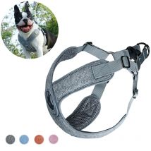 Haustierweste mit französischer Bulldogge für kleine und mittelgroße Hunde, reflektierendes Welpen-Hundegeschirr und Leine, Corgi-Mascotas-Zubehör, Leinen