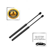 2Pcs Rear Trunk Tailgate Lift Support Struts for Bentley Arnage 1998 99 00 01 02 03 04 05 06 07 08 2009 PR24234PE