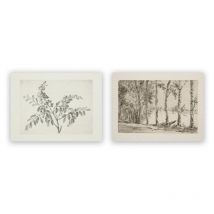 Vintage Birch Tree Sketch Art Prints Antique Botanical Drawing Canvas Poster Rustic Country Farmhouse Wall Painting Home Decor