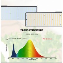 LED Coltiva La Luce Growbox Sam-ng LM301H 240W 480W 720W Lampada Idroponica per piante Coltiva La Tenda Serra Illuminazione Veg e Fioritura