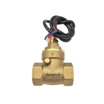 USB-FS21TA Baffle Type Flow Sensor Switch DN15 DN20 DN25 DN32 Reed Switch Brass Sensor Switch 5-15L/min 250V DC 70W 2 wire Saier