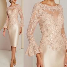 Classic Champagne Long Sleeve Mother of the Bride Dresses Lace Customized Wedding Guest Gowns 2024 Mother Dresses Knee Length