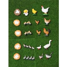 Simulation Poultry Growth Cycle Chicken Goose Hen Rooster Life Cycle  Model Action Figures Teaching Educational toys For Kids