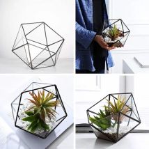Neue Glas Terrarium Lagerung Box Schmuck Halter, Glas Geometrische Terrarium Tabletop Sukkulente Box Pflanzer Halter