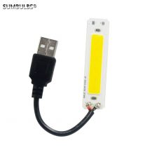 DC 5V USB Sorgente luminosa a LED 2W COB Strip Bar Lampadina 60*15mm Bianco caldo freddo 3000K 6500K per lampada da lavoro fai da te