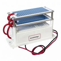 60 g/h purificatore d'aria generatore di ozono macchina per ozono detergente per la casa sterilizzare ozonizzatore trattamento formaldeide rimuovere odore ozonizador