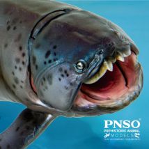PNSO prähistorische Dinosauriermodelle: 47Zaha Der Dunkleosteus