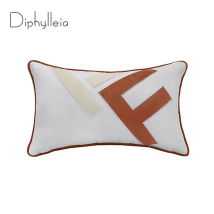 Diphylleia Cushion Cover 2025 Italy Fashion Style Simple F Letter Embroidered Lumbar Pillow Case Luxury Coussin Orange Brown