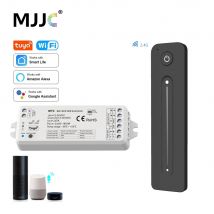 Tuya CCT LED Strip Dimmer Switch 12V DC Wireless 2.4G RF WW CW Controller funziona con Smart Life Google Assistant 2 canali WT1