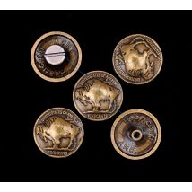 10X Vintage Buffalo Nickel Kopf Schraubverschluss Concho für Gürtel Leathercraft Sattel Handtasche Gepäck Tasche Hardware Dekor