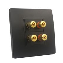 Dark Color Audio Speaker Wall Cover Panel 2 Ports Hifi Surround Faceplate 4 Connectors Sound Plug Outlet In Black