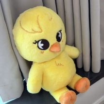 15/50cm Straykids Plush Toy Huang Xuanchen FM BANGCHAN HAN Doll SKZ BBOKARI Kawaii Toy Room Decoration Children's Gift