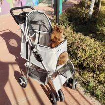 Hundekinderwagen Ruota universale a quattro ruote Passeggino per animali staccabile di lusso Portabicchieri leggero Design Carrello per cani Cane da viaggio all'aperto