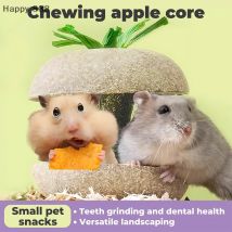 Hamster-Kauspielzeug für die Zahngesundheit – geeignet für Meerschweinchen, ideal als essbare Leckereien und Käfigzubehör