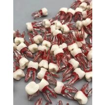 Endodontic Dental Model Root Canal Training Block Tooth Pulp Cavity Model Dentistry RCT Students Practice Dentistry Product