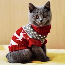 Uroczy sweter dla kota Kostium zimowy Ciepłe ubrania dla kotów Katten Sphynx Pullover Mascotas Odzież Gatos Produkty dla zwierząt