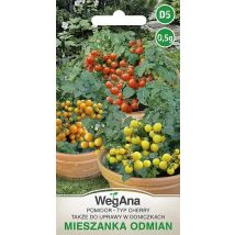 Kirschenmischung vom Typ Tomaten aus Sorten 0,5 g Samen-WegAna