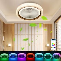 Plafoniera LED Musik RGB Bluetooth da 50 W con ventola, lampada da soffitto a LED rotonda, ventilatore da soggiorno dimmerabile con telecomando