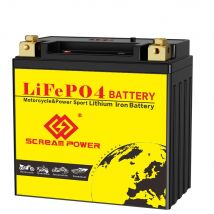 Lithium-Motorradbatterie 14L-BS 12 V 9 Ah mit Ladegerät LiFePO4-Batterie, tiefe Zyklen CCA 520A für Motorrad-Rasenmäher ATV UTV