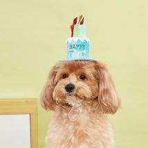 Booteely Hundehut für Geburtstagsfeier, verstellbare Hundehüte, Katzen, Hundekostüme, Welpenpflege, Anziehmütze, Heimtierbedarf ﻿
