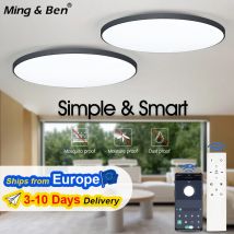 Plafoniera Camera da letto Bagno Soggiorno Lampada LED moderna ultrasottile rotonda Dimmerabile APP Telecomando Decorazione della casa