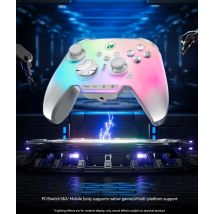 NUOVO BIGBIG WON Rainbow 3 Controller di gioco wireless NearLink 2.4G Hall Joystick Micro pulsante di movimento RGB Gamepad per PC