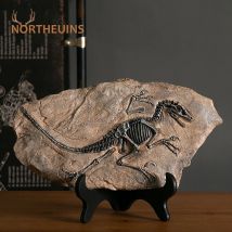 NORTHEUINS Harz Dinosaurier Fossil Figuren Retro Tier Statue Miniatur Innen Wohnzimmer Decor Souvenirs für Home Geschenke