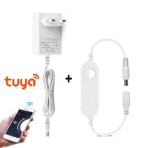 Adattatore di alimentazione trasformatore di illuminazione DC 12V 24V 2A 3A Spina UE/USA con controller WIFI Tuya Smart Life per striscia LED COB 5050 2835