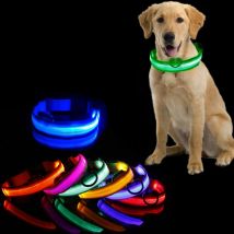 Led Dog Collar Light Anti-lost Collar For Dogs Puppies  Night Luminous Supplies Pet Products