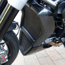 Für Ducati XDiavel X Diavel S 2016 2017 2018 2019 2020 Zubehör Motor Kühlerschutz Grill Abdeckung Ölkühler Schutz Schutz