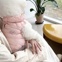Haustier Hund Mantel Winter Baumwolle Kleidung Warme Hund Kleidung Teddy Verdickte Jacke Bichon Out Einfarbig Pet Liefert Mode Jacken