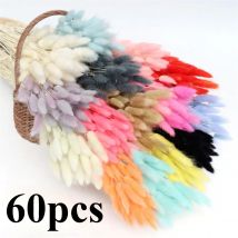Un pacchetto di 60 pezzi di fiori secchi coda di coniglio erba premium Pampa Reed immortale bouquet essiccato piante decorative per feste di nozze