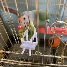 Nette Kleine Haustier Vogel Lebensmittel Halter Papagei Obst Gemüse Clip Tintenfisch Knochen Feeder Gerät Klemme Vogel Käfig Zubehör Oiseaux