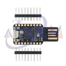 MINI USB RP2040 Entwicklungsboard-Module für Raspberry Pi Dual Core 4 MB oder 16 MB