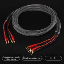 YYAUDIO Ein Paar HiFi-Lautsprecherkabel, hochreiner 6N OFC-Kern mit Banane und Y 24K Gold Plug Hornkabel für Verstärkerlautsprecher