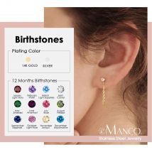 eManco Ohrringe mit Zirkon-Geburtsstein-Anhänger, 12, Sternzeichen, Edelstahl, Schmuck, Party-Geschenke