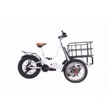 Offroad Electric Tricycle E-bike 3 Wheel Electric Long Range Electric Front Cargo Bike 250W/350W/500W/750W