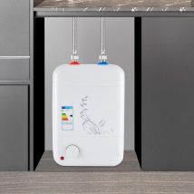 Scaldabagno 220V 1500W 30-65 ° C 304 Acciaio inossidabile Impermeabile Spegnimento automatico Anti-elettricità per barra bagnata da cucina