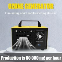 ATWFS 220V 60G generador de ozono purificador de limpieza formaldehy limpiador de aire Ozono esterilización de desinfección